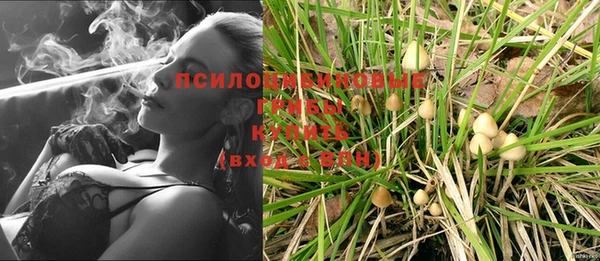 герыч Арсеньев