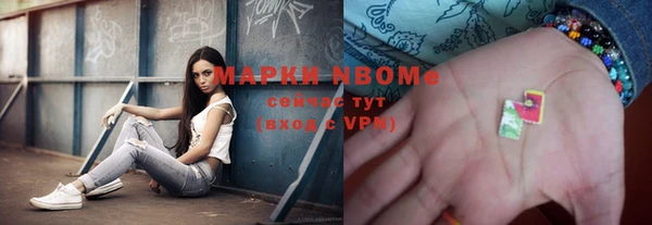 индика Алзамай