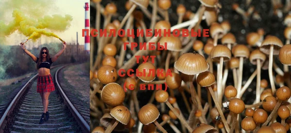 герыч Арсеньев